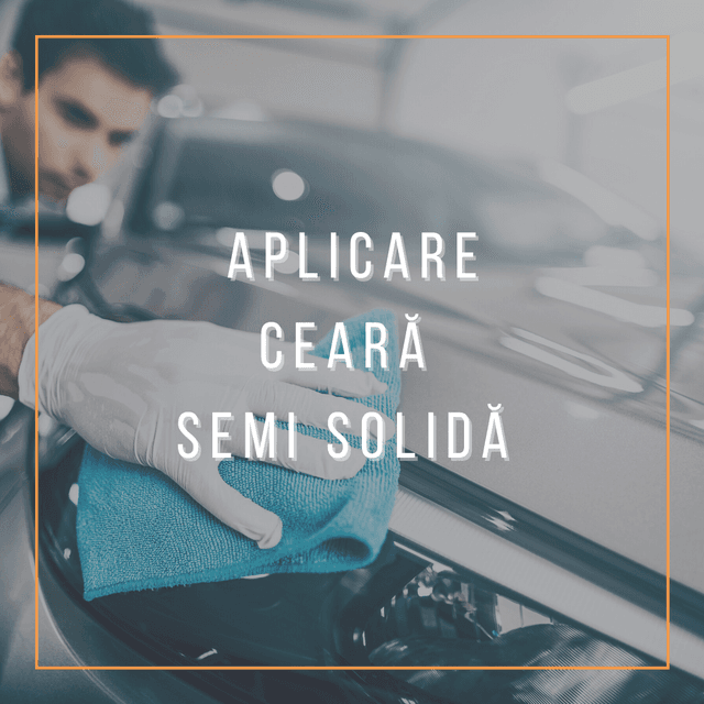 ceara-carnauba-semisolida