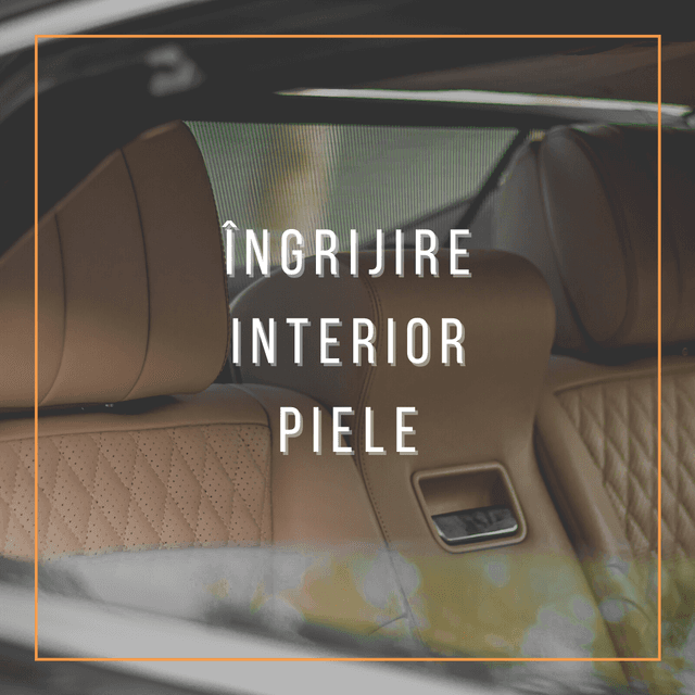 interior_piele